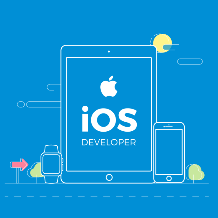 Finding the Best IOS Developer Company in Delhi NCR