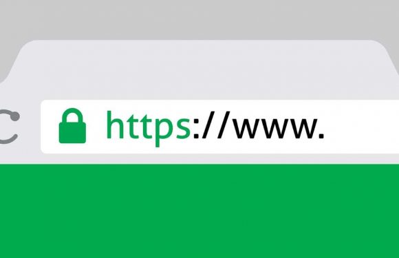 What is an SSL certificate and how does it work?