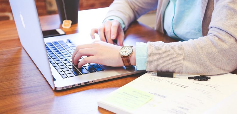 WordPress Offers a Variety of Themes to Cater to Different Online Businesses