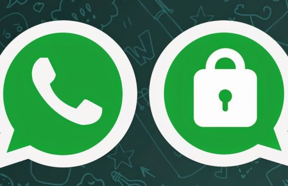 Why did Mark Zuckerberg move WhatsApp workloads from IBM’s cloud to private colocation? Is it because of recent Facebook’s data breach?