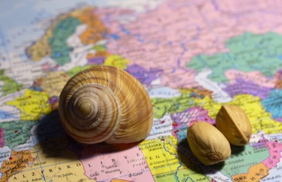 Innovation and the future of Africa: A tale of two countries