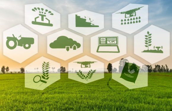How AI Can Enhance The Agriculture Industry Around The World