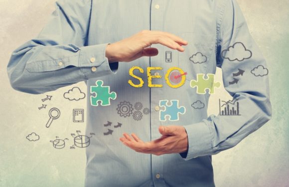 What You Really Need To Know About SEO In Order To Be Successful