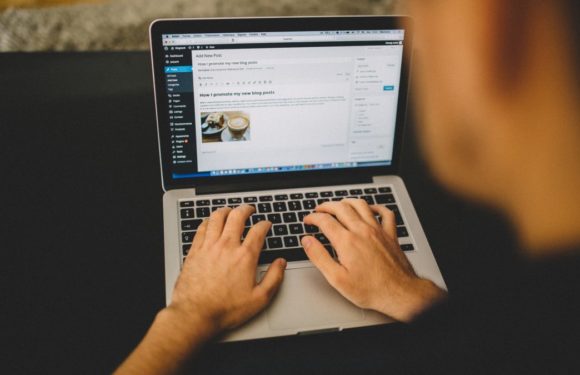 Top WordPress UX Basics You Need to Know