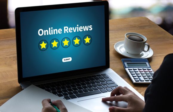 Importance of Online SEO Reviews