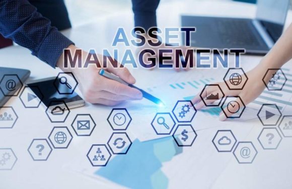 What to look for in an IT Asset Management Software