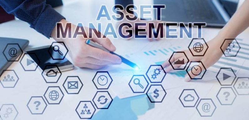 What to look for in an IT Asset Management Software