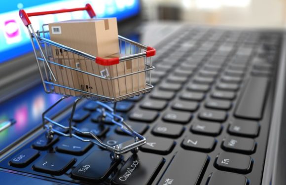 Learn To Build Your E-Commerce Website within 24 Hours