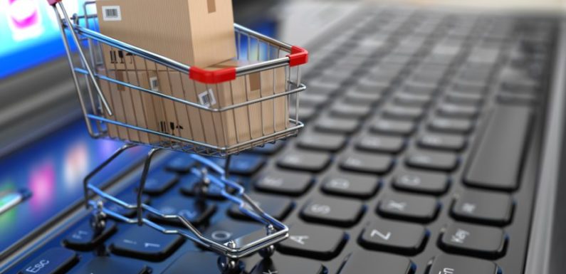 Learn To Build Your E-Commerce Website within 24 Hours