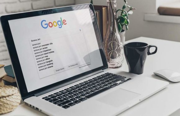 How Professional Tools Can Help to Improve Your Search Engine Rankings