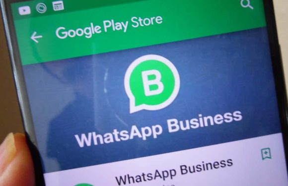 WhatsApp Business API Guide / How to Get Started