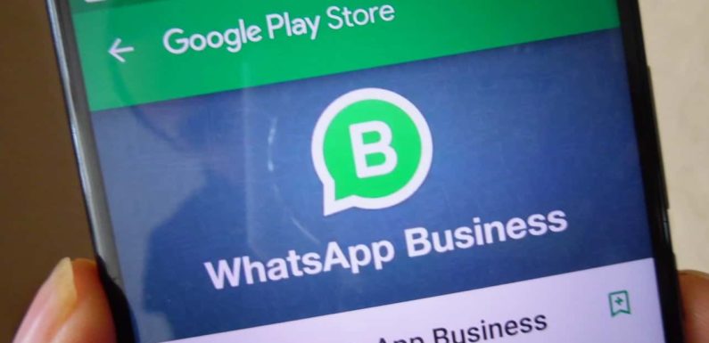 WhatsApp Business API Guide / How to Get Started