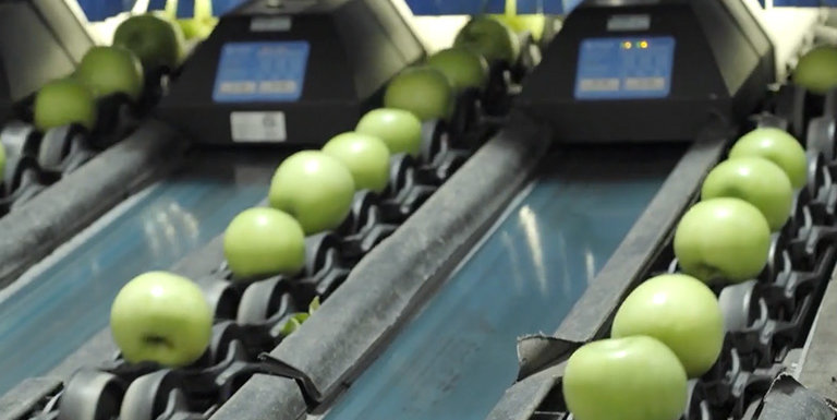 How a Fruit Sorting Machine Will Disrupt Industrial Automation