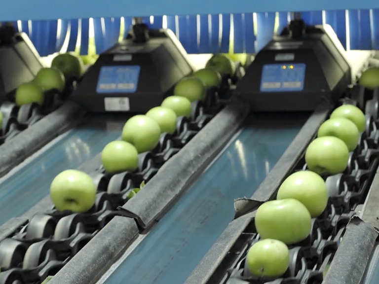 How a Fruit Sorting Machine Will Disrupt Industrial Automation Tech