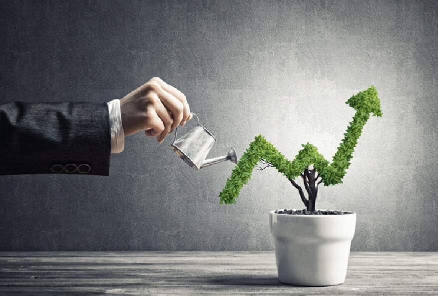 Boost Your Budding Business