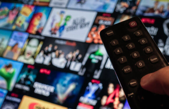 What is the future of the video streaming industry?