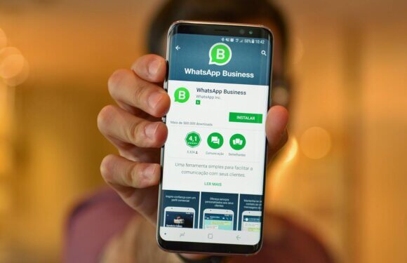 Using WhatsApp for Business: What You Must Know