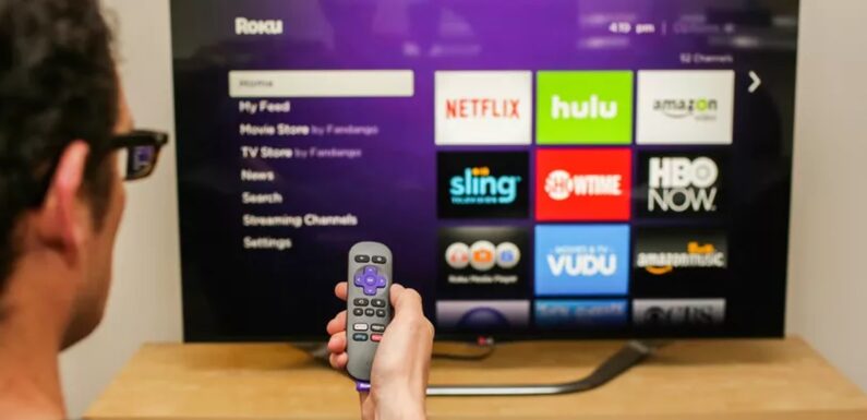 What Business Strategies did Hulu Adopt to Counter Netflix OTT App?