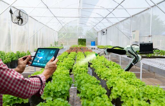 What Are The Main Technologies Applied To Smart Agriculture?