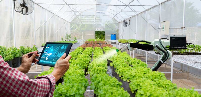 What Are The Main Technologies Applied To Smart Agriculture?